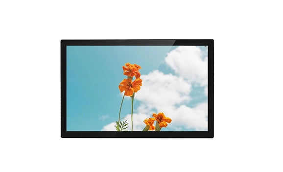 Màn hình độ sáng cao AMG-21IPRV01T1